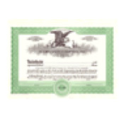 Stock Certificate, Blank (O.M.)